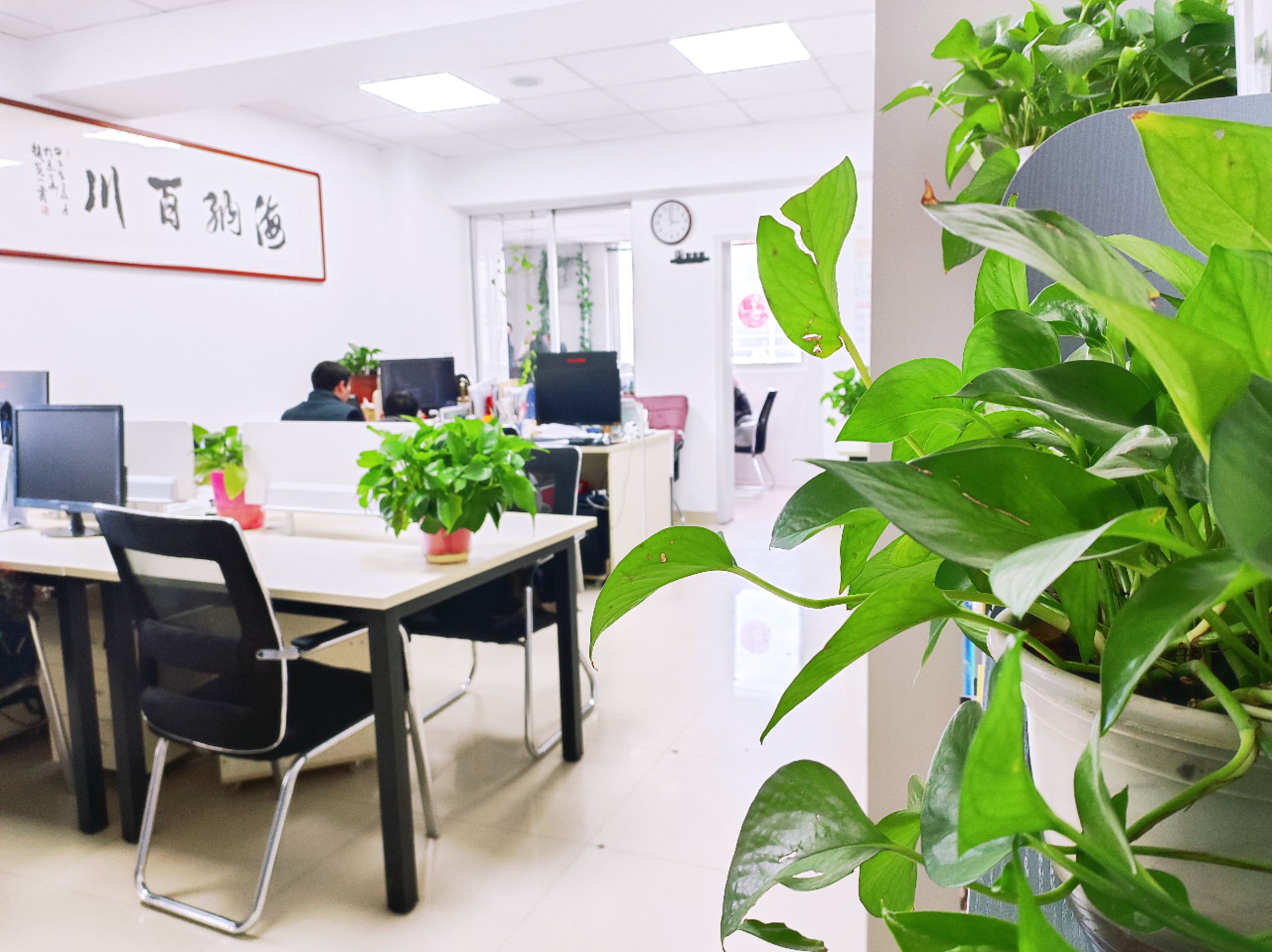 1646383352233489.jpg 1646383352233489.jpg